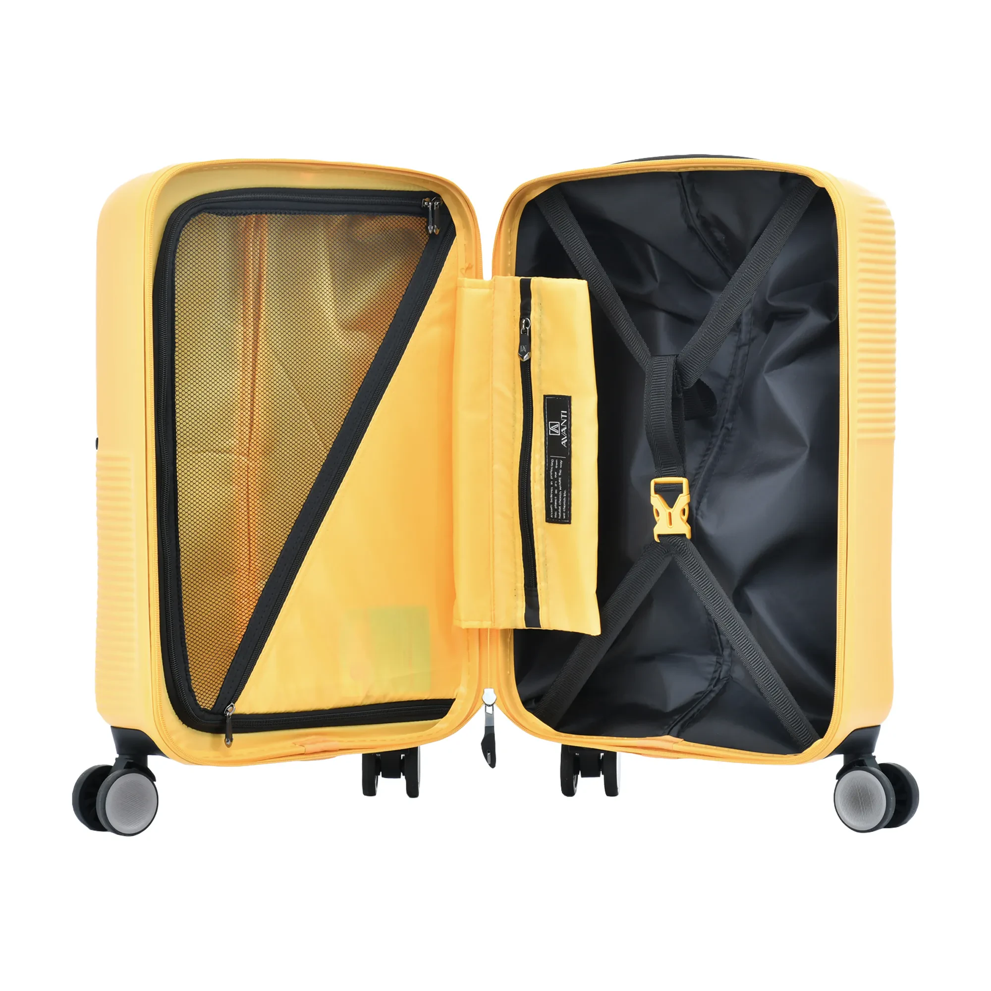 AVANTI NATURE 20"