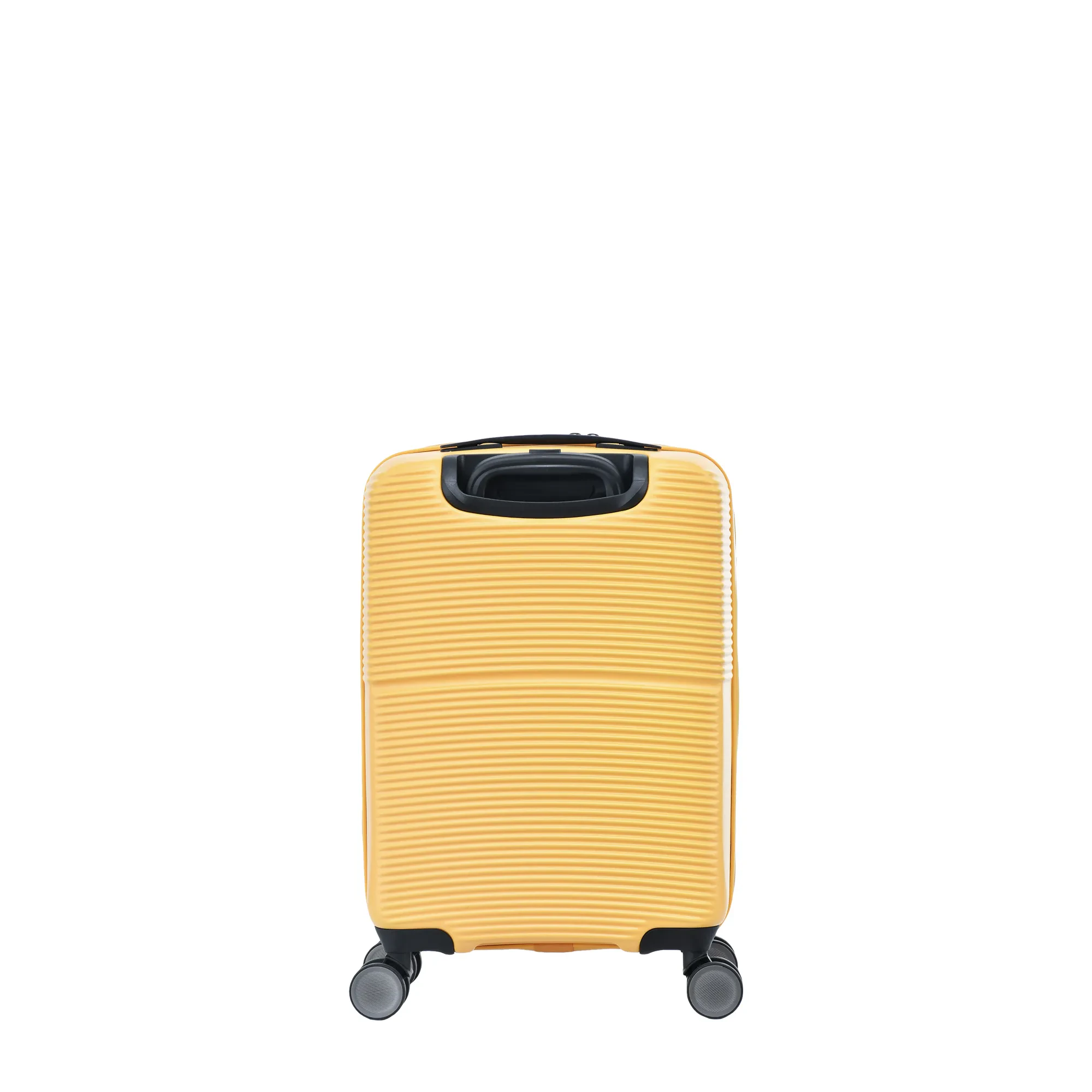 AVANTI NATURE 20"