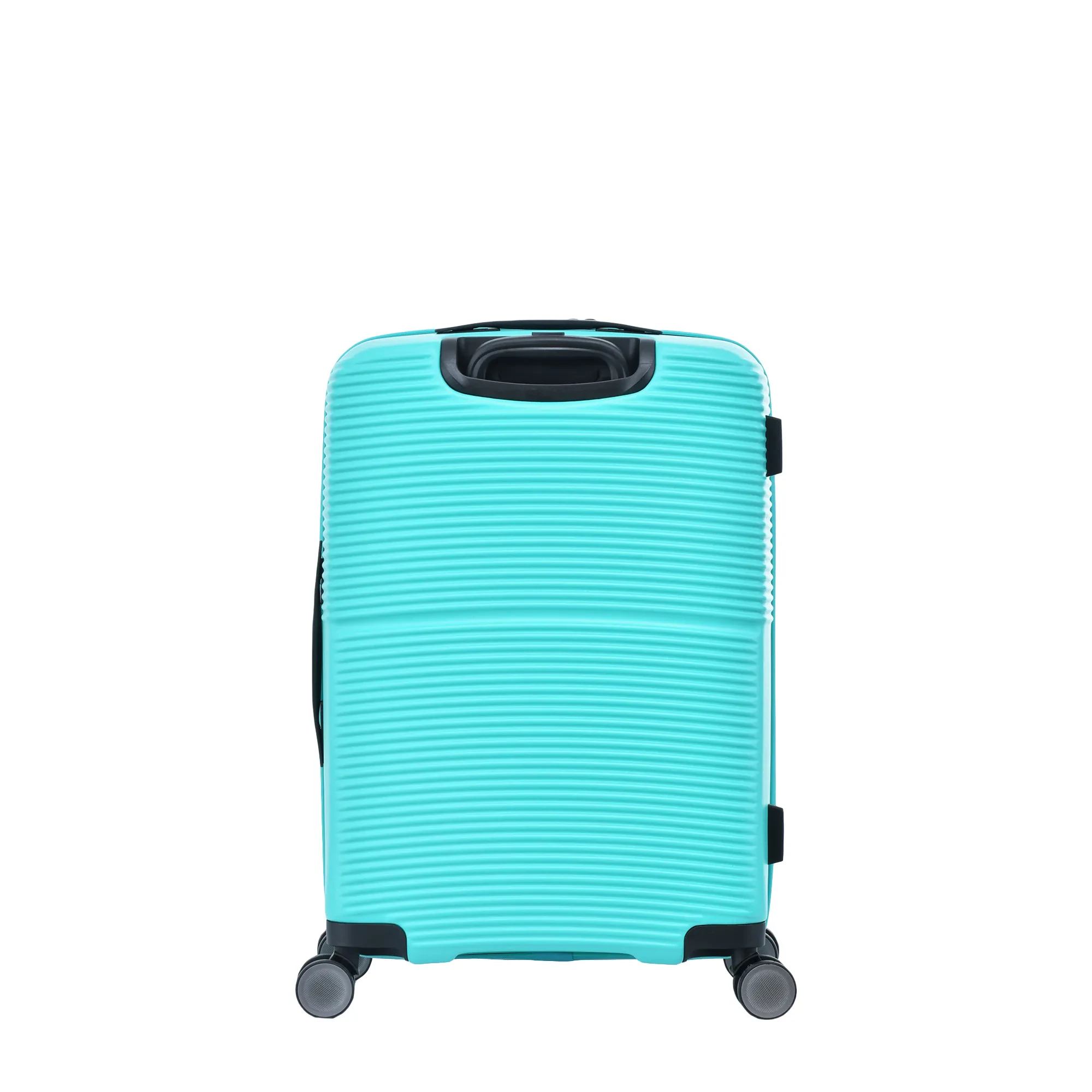 AVANTI NATURE  24"