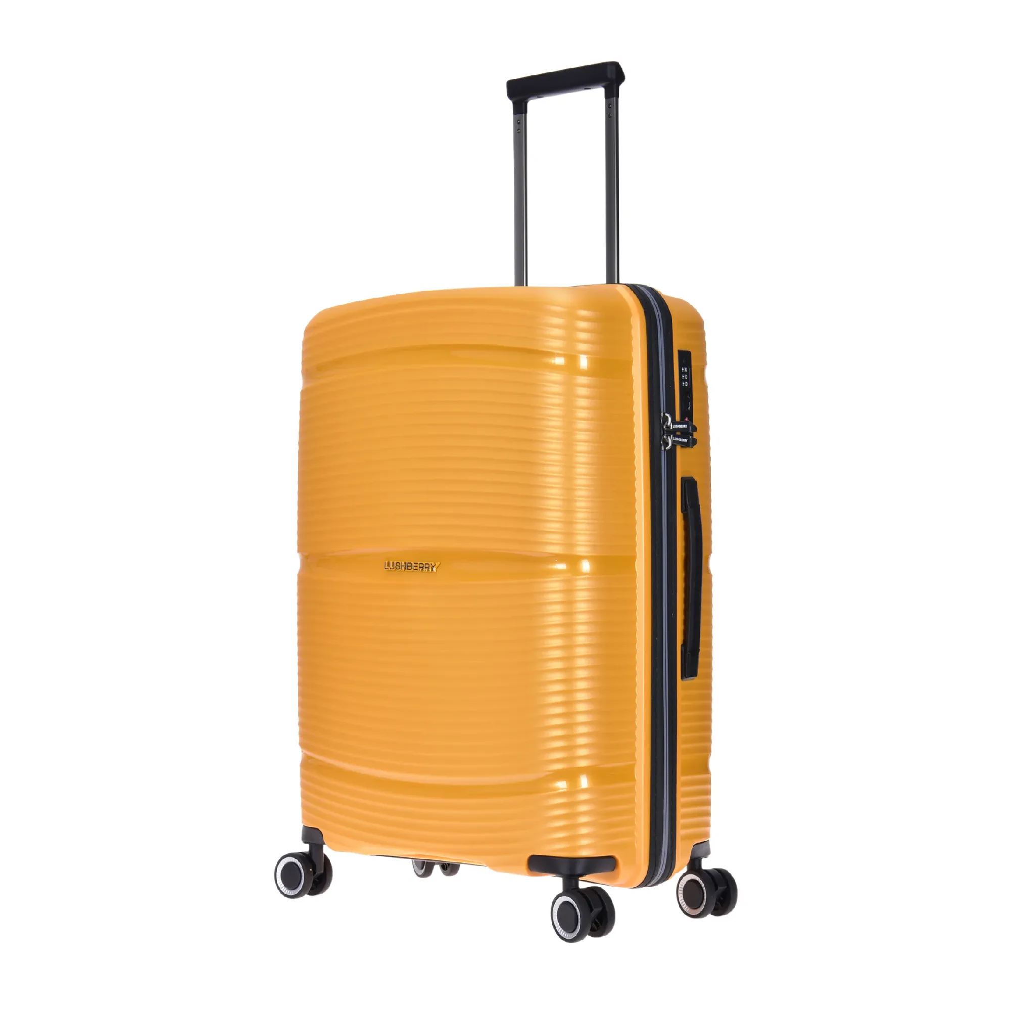 PLASMALITE - 24"