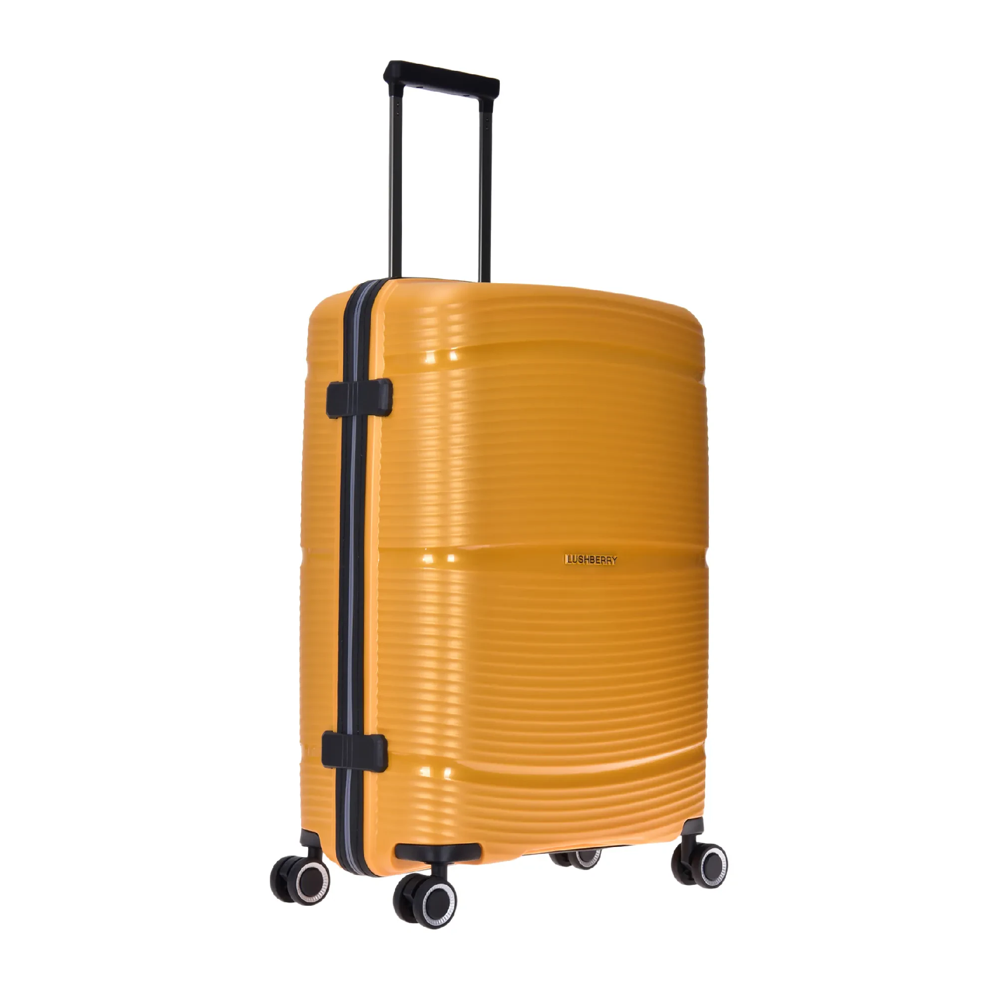 PLASMALITE - 24"