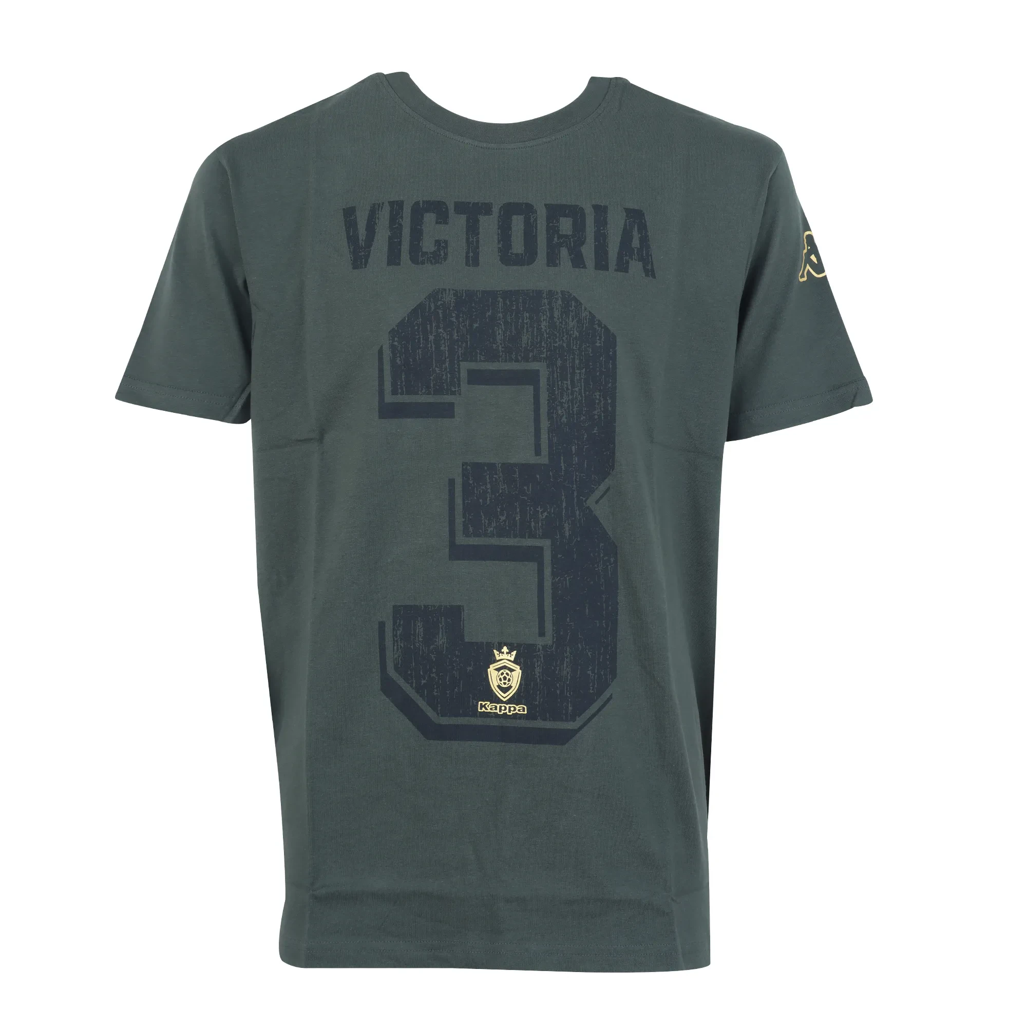 MALE T-SHIRT - KP3TS011 OLIVE